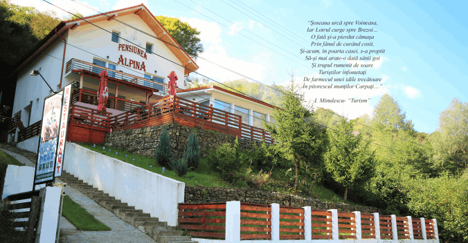 Cazare Pensiunea ALPINA